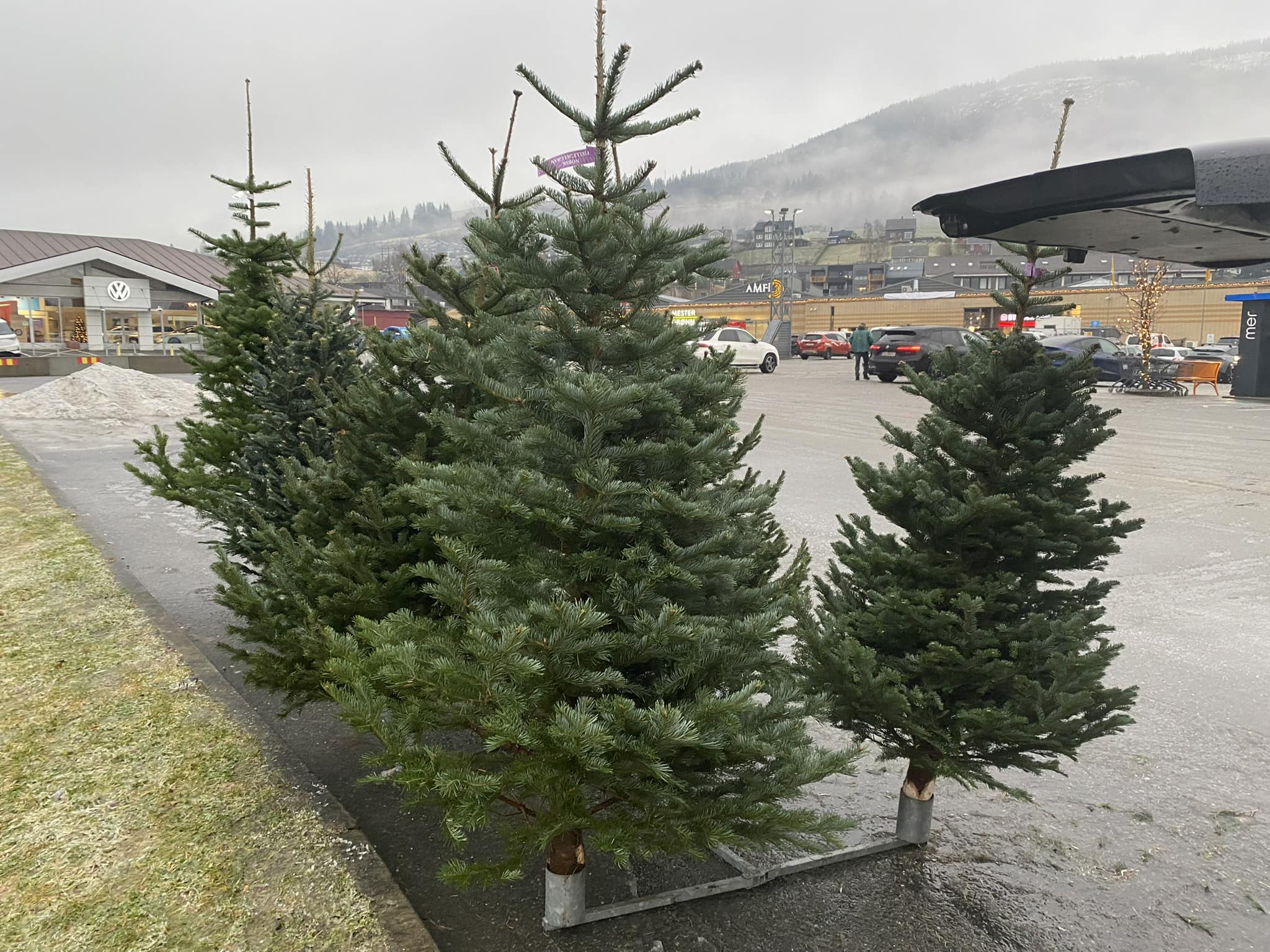 Juletre på salsplass klare for kunde